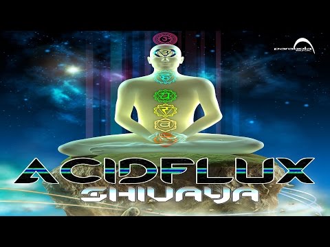 AcidFlux - Shiva Nritya