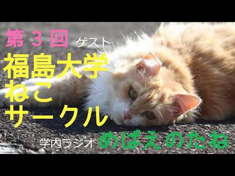 福大ラジオ　めばえのたね第３回　福島大学ねこサークル