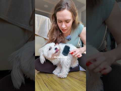 Morala sam da lažem momka 🤢