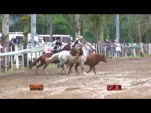 Ginete Jair Silveira Lemos 2º Lugar Fêmeas com Guapuruma Gitana