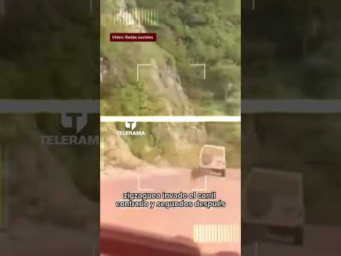 🚨Indignación en Loja por atropello a un venado.