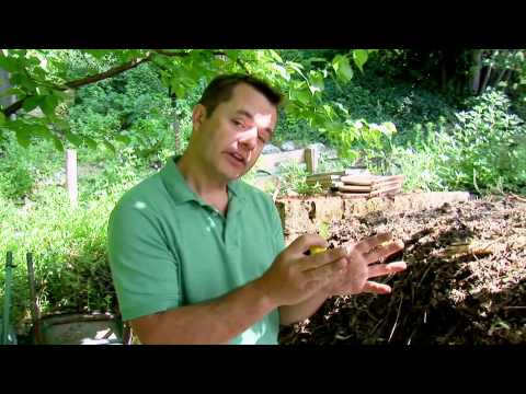 Compost - Ask Ian Video Series
