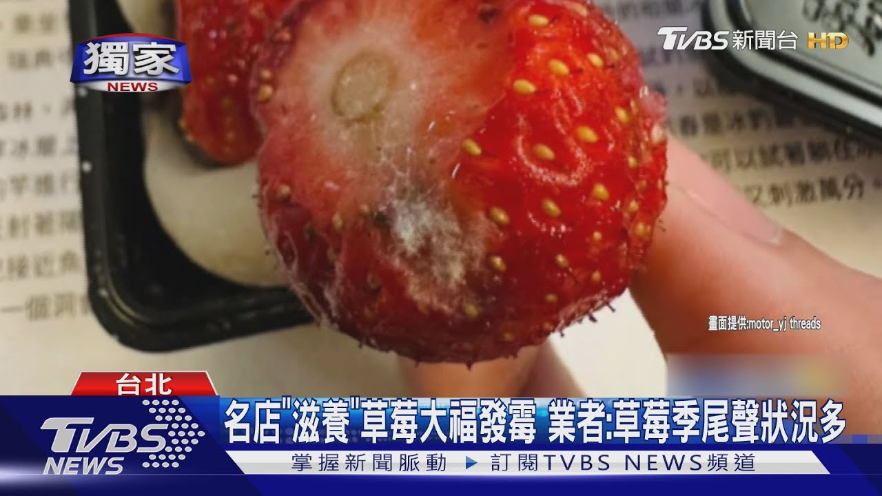 名店「滋養」草莓大福發霉 業者:草莓季尾聲狀況多