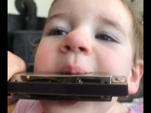 Isä Matin polkka; Hohner ‘Preciosa’ very old tremolo harmonica, G. Huuliharppu! Kielibasso! Mundharp