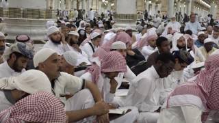 فروع الفقه لابن عبدالهادي (57) وتسن الأضحية من بهيمة الأنعام image