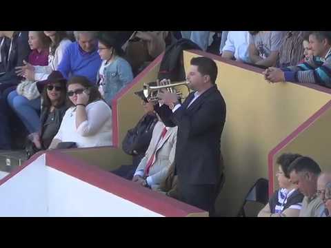 Tiago Sousa - Cornetim Festival Luís Fagundes 2016