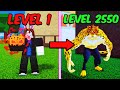Noob To MAX LEVEL Leopard in Blox Fruits [FULL MOVIE]