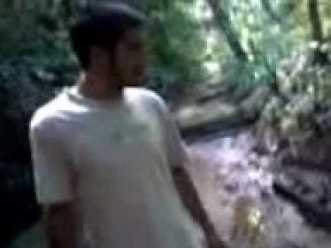 pegada estranha na mata