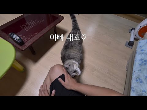 오늘의 힐링 궁디팡팡을 좋아해