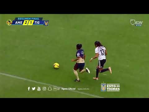 Resumen de la serie Semifinal, Tigres 4 - 2 América