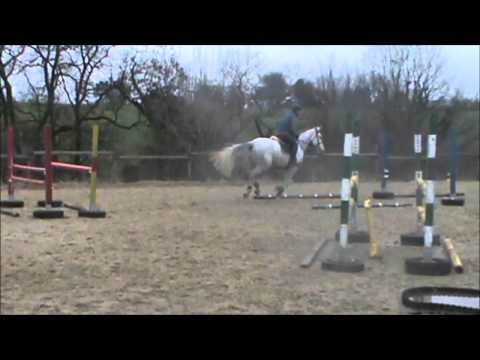 Ebengrey (Ugano Sitte x Ogano Sitte).