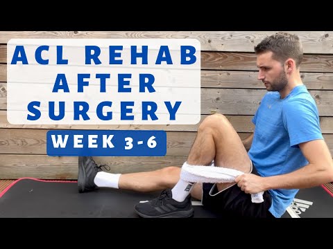 Acl Rehabilitation Exercises for Legs and Full Body Strength