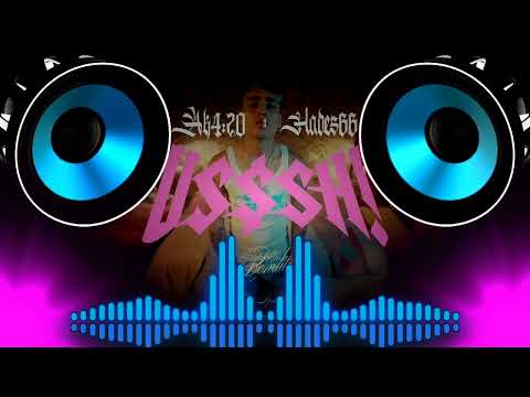 USSSH! - AK4:20 FT HADES 66 (BASS BOOSTED)