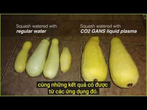 2016 11 12 AM Public Teaching in Vietnamese - Buổi giảng công cộng bằng tiếng Việt