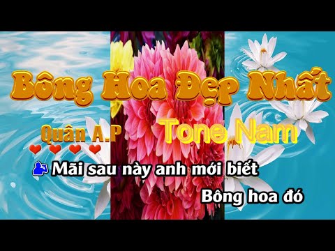 Bông Hoa Đẹp Nhất Karaoke Tone Nam
