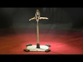 Liliya Turkeieva Mallakhamb Act