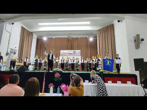 KUD "Branko Miljković" Gadžin Han - Zdravičar, Slatina 2025.