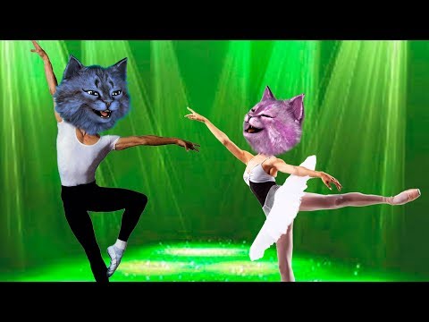 ОТПРАВИЛИСЬ С ЛЕО В КОРОЛЕВСКУЮ АКАДЕМИЮ БАЛЕТА В РОБЛОКС! The Royal Ballet Academy of Roblox