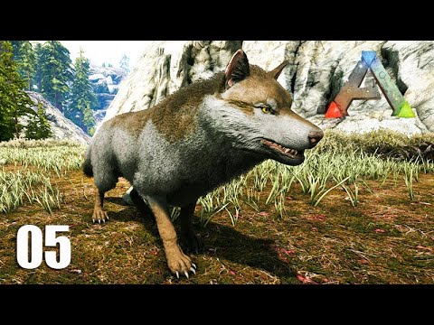 DOMEI um LOBO TERRÍVEL e me mudei para um novo lugar - MAPA VALGUERO - #05 - ARK