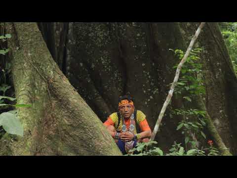 Txana Txanu Huni Kuin - Rezo sagrado Pae Txanima aos pés da Samauma