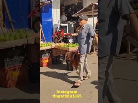 feira livre de palmeira dos índios Alagoas