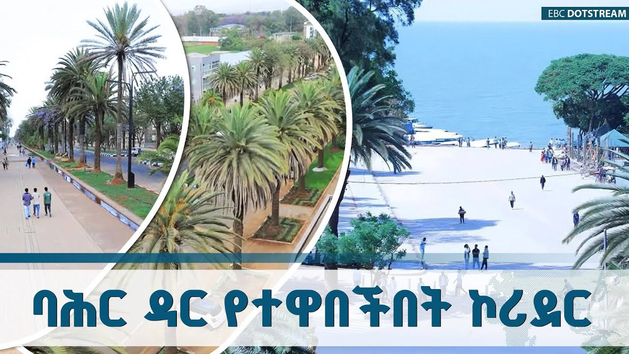 በባሕር ዳር ከተማ በተለያዩ ምዕራፎች የኮሪደር ልማት ሥራዎች ተጠናክረው ቀጥለዋል ETV 
