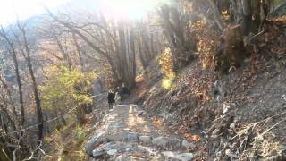 preview picture of video 'Trail zur Hängeseilbrücke in Monte Carasso (baugleich Mörsdorf Hunsrück)'