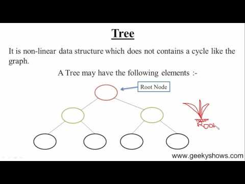 95 Introduction to Tree Hindi