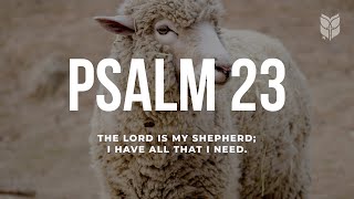 Psalm 23  Holy Bible NLT BibleVision