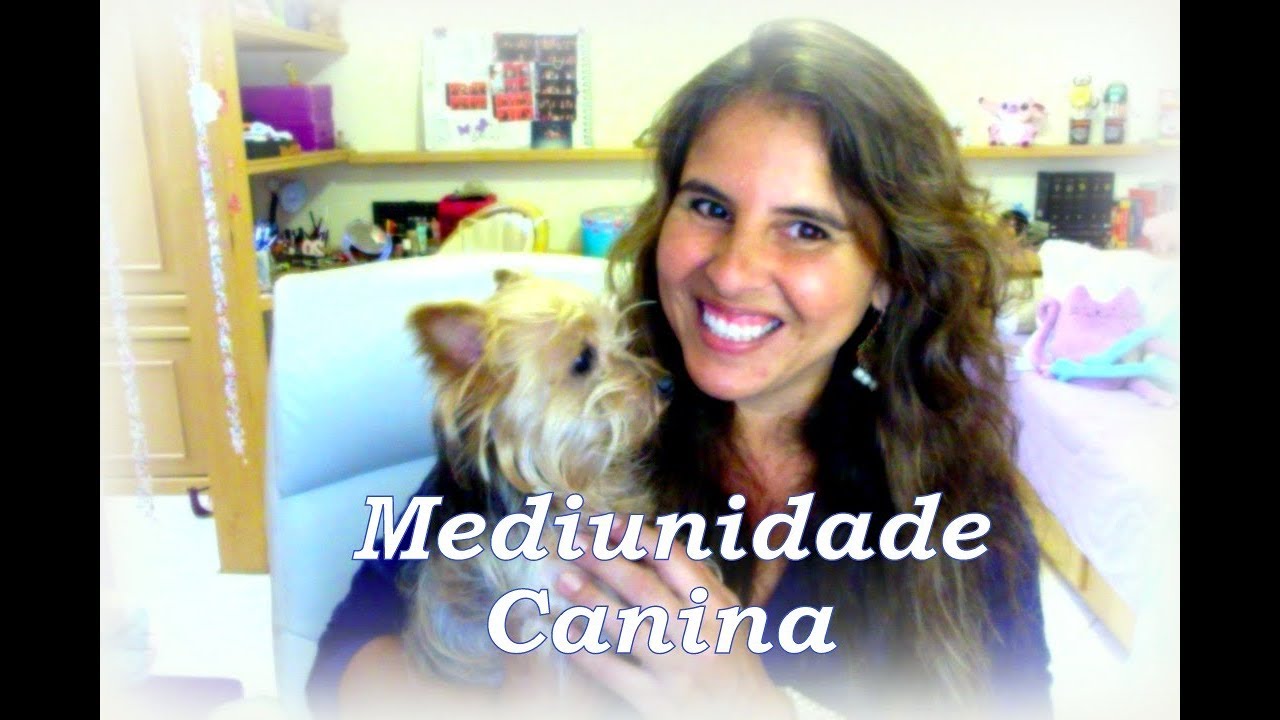 Os Cães e a Espiritualidade Meire J Costa