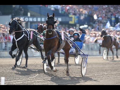 TIMOKO: THE STORY SO FAR