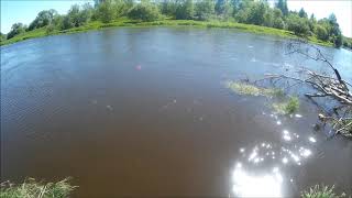 Пироговское водохранилище отчеты о рыбалке