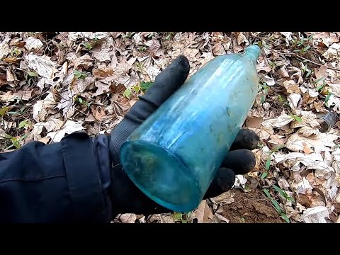 Pasja Wykopki #57 Spotkałem dzika