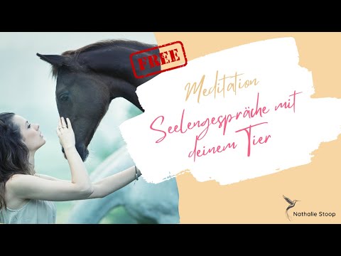 Seelengespräche mit deinem Tier I Geführte Meditation I 14 Minuten