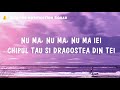 Dan Balan - Numa Numa 2 feat. Marley Waters (Lyrics)