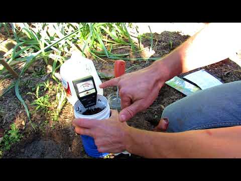image-How do I test my soil with a pH meter?
