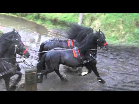 Stal Okkema tijdens de opnamens voor de film It swarte goud 05-09-2015