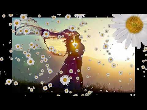 Pana Kodu Sina kerali karaba Mal Pethe - Nanda Malani