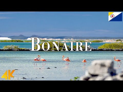 Bonaire 4K Ultra HD • Stunning Footage Bonaire, Scenic Relaxation Film with Calming Music.