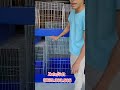 Lồng Gà Chuồng Gà Giá Rẻ 0889303505