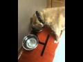 Gabe Eating