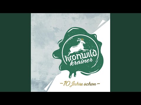 In Linz beginnz (Radio Edit)