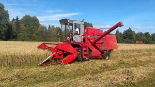 Massey Ferguson 330 hububat hasat makinesi | G&ouml;r&uuml;nt&uuml; 4 - Agriline