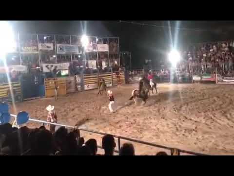 Rafael Ribeiro  X cavalo chileno