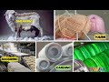 Wool Yarn Manufacturing Process From Sheep To Skein