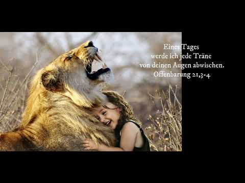 The Father's Love Letter - Daniel Exler