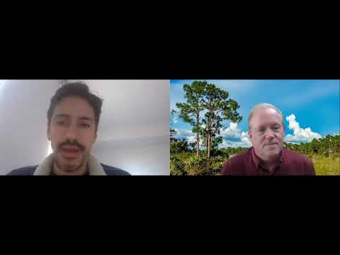 MindsDB takes your data and builds accurate predictive models with SQL