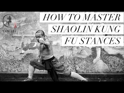 Unlock Shaolin Kung Fu -  Master the 5 Fundamental Stances