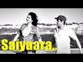 Saiyaara Song (Lyrics) Ek Tha Tiger | Salman Khan | Katrina Kaif | Mohit Chauhan | Taraannum Mallik