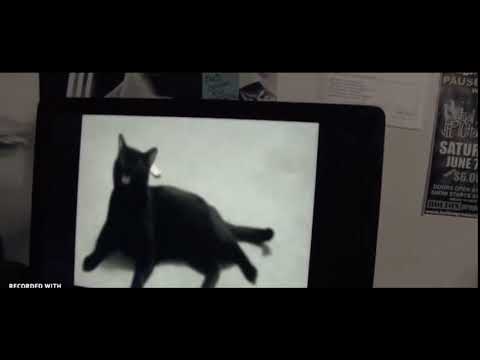 Talking Kitty Cat 33: Deleted Scene! [Steve's Forgotten Tape & Sylvester Gets Called Rufus]